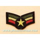 Patch ecusson thermocollant army sergent chef rasta roots