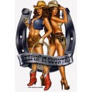 Sticker Pin Up western cowgirl country AD992